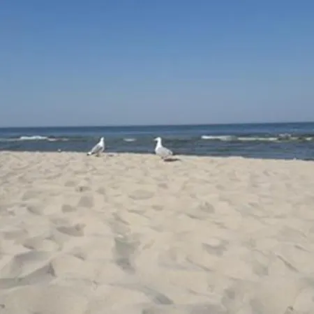 Leonie Mit Sauna Casa de Férias Zinnowitz